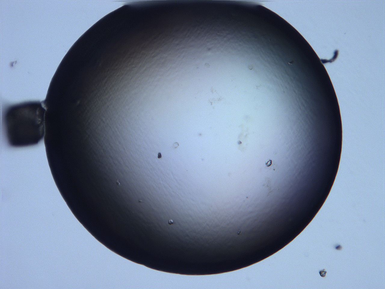 0632_B9_ImagerDefaults_0.jpg