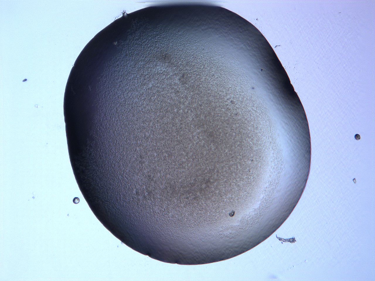0632_B10_ImagerDefaults_3.jpg