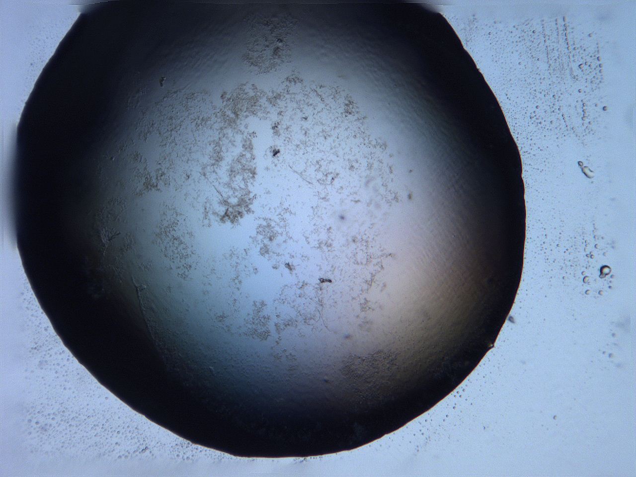 0632_B11_ImagerDefaults_0.jpg