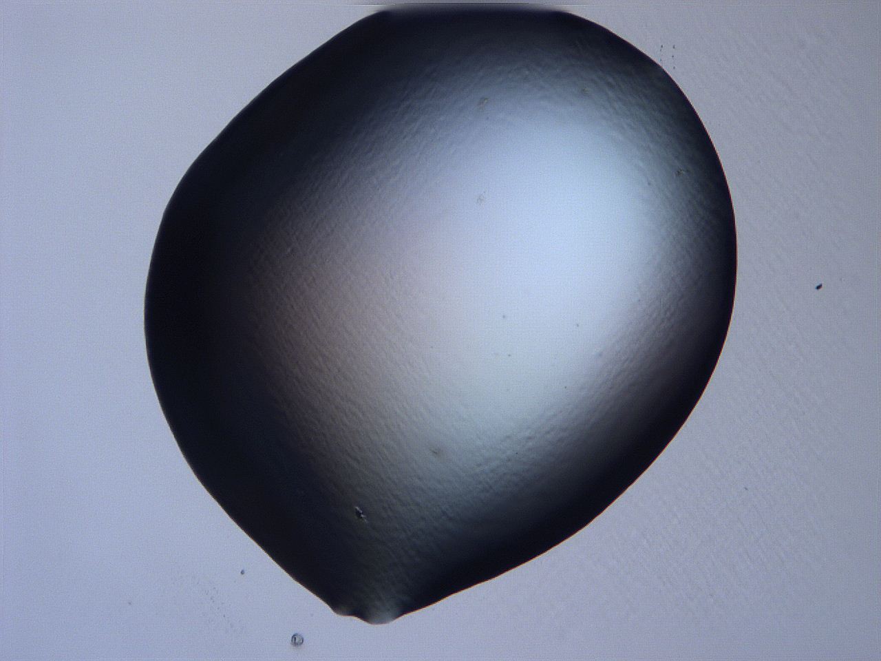 0632_C4_ImagerDefaults_0.jpg