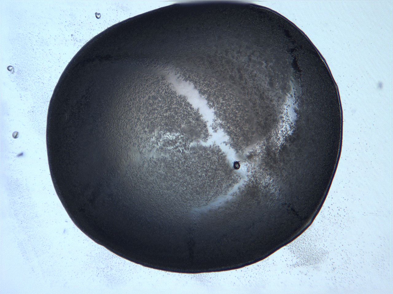 0632_C5_ImagerDefaults_3.jpg