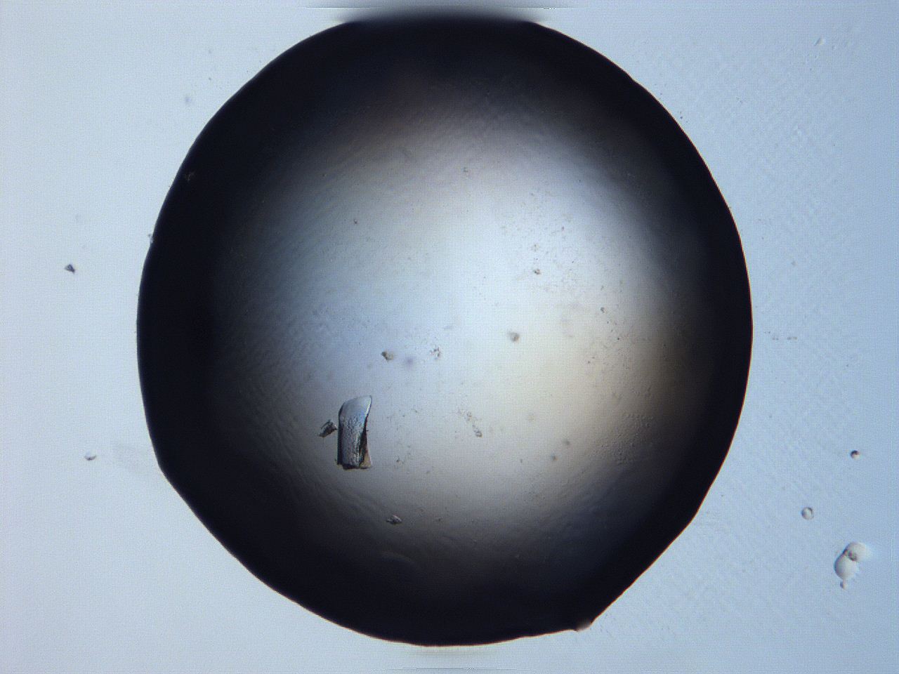 0632_C7_ImagerDefaults_0.jpg