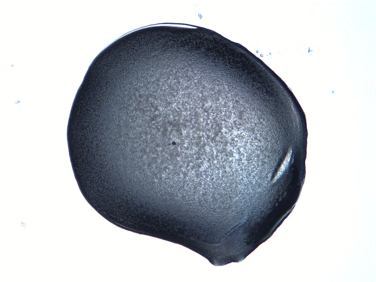 0632_C8_ImagerDefaults_3.jpg
