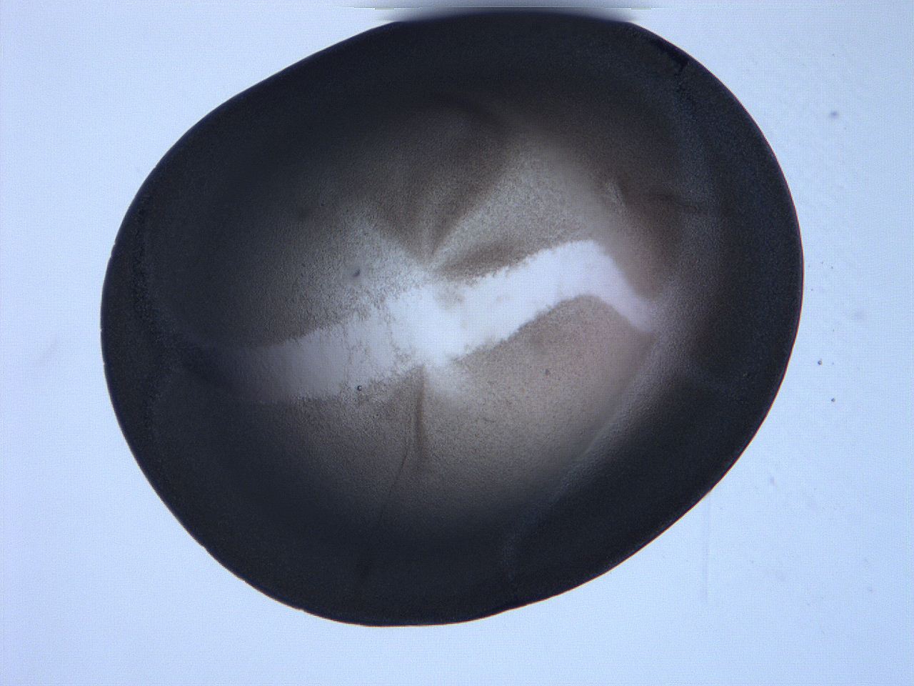 0632_D3_ImagerDefaults_3.jpg