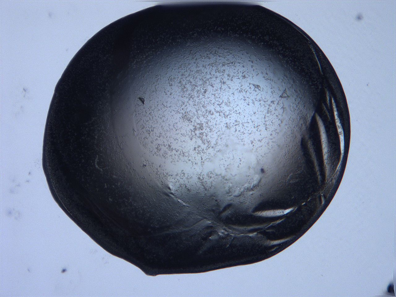 0632_D4_ImagerDefaults_3.jpg