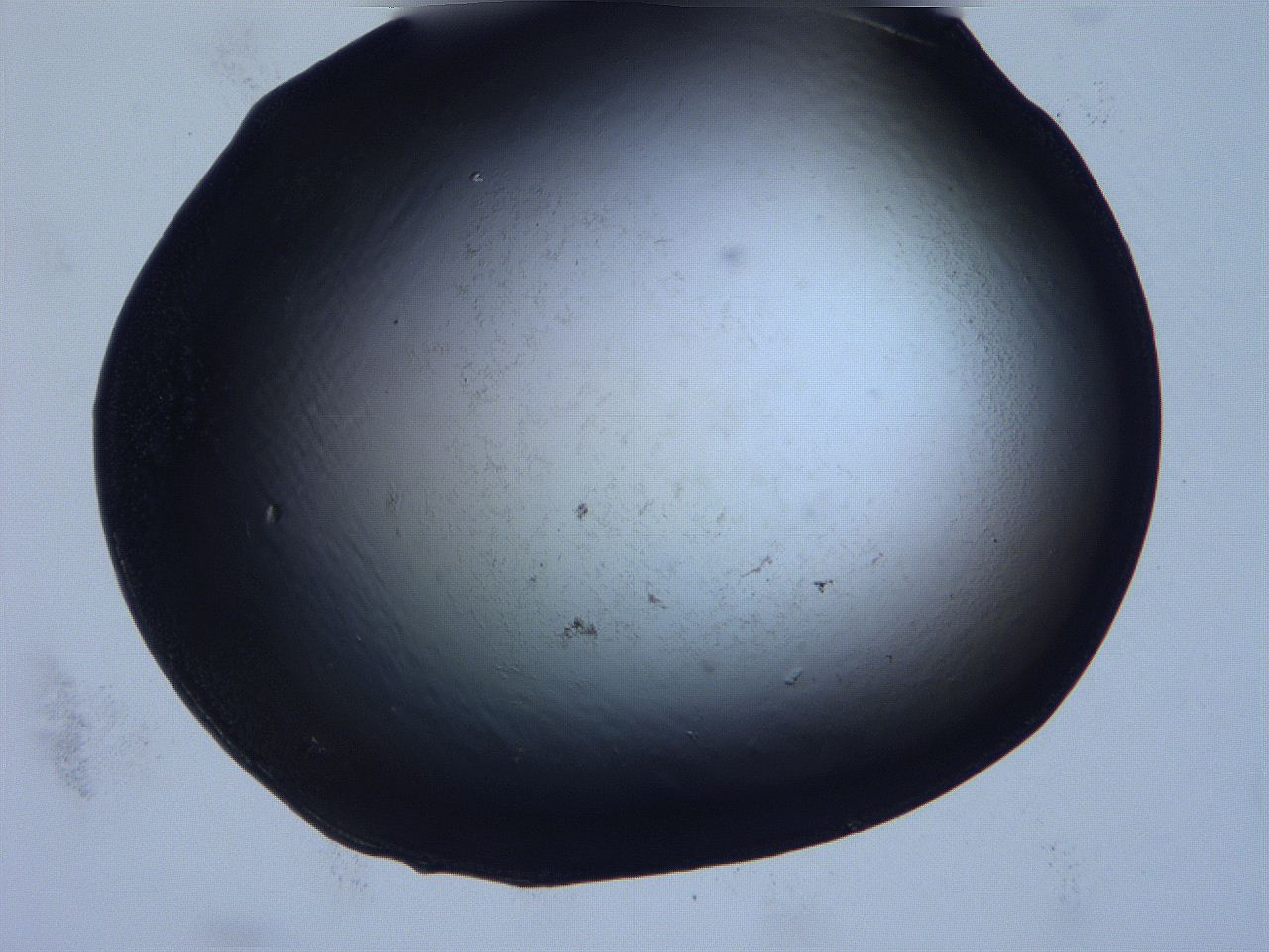 0632_D5_ImagerDefaults_0.jpg