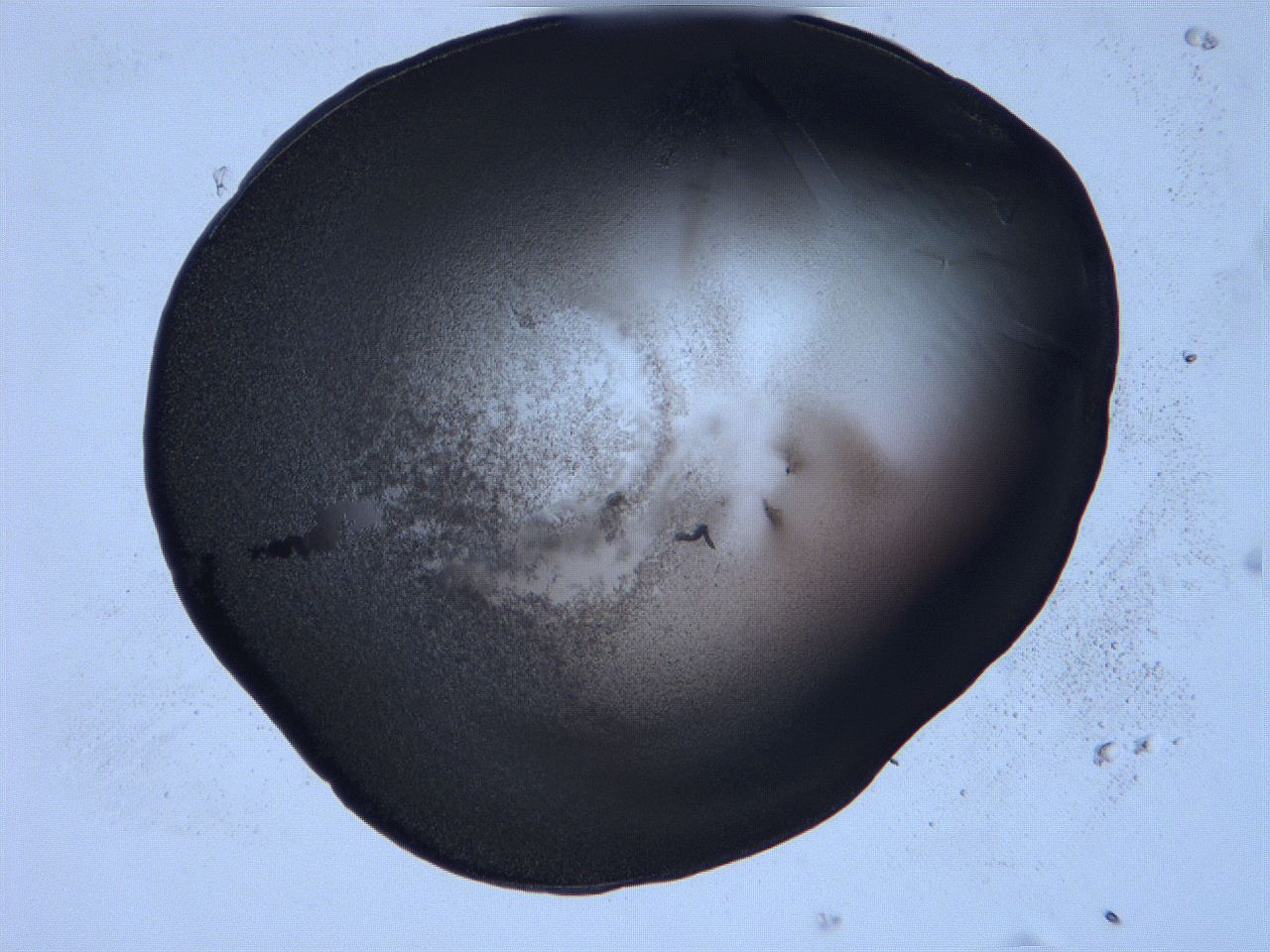 0632_D9_ImagerDefaults_3.jpg