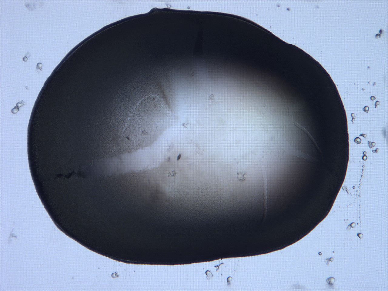 0632_D10_ImagerDefaults_3.jpg