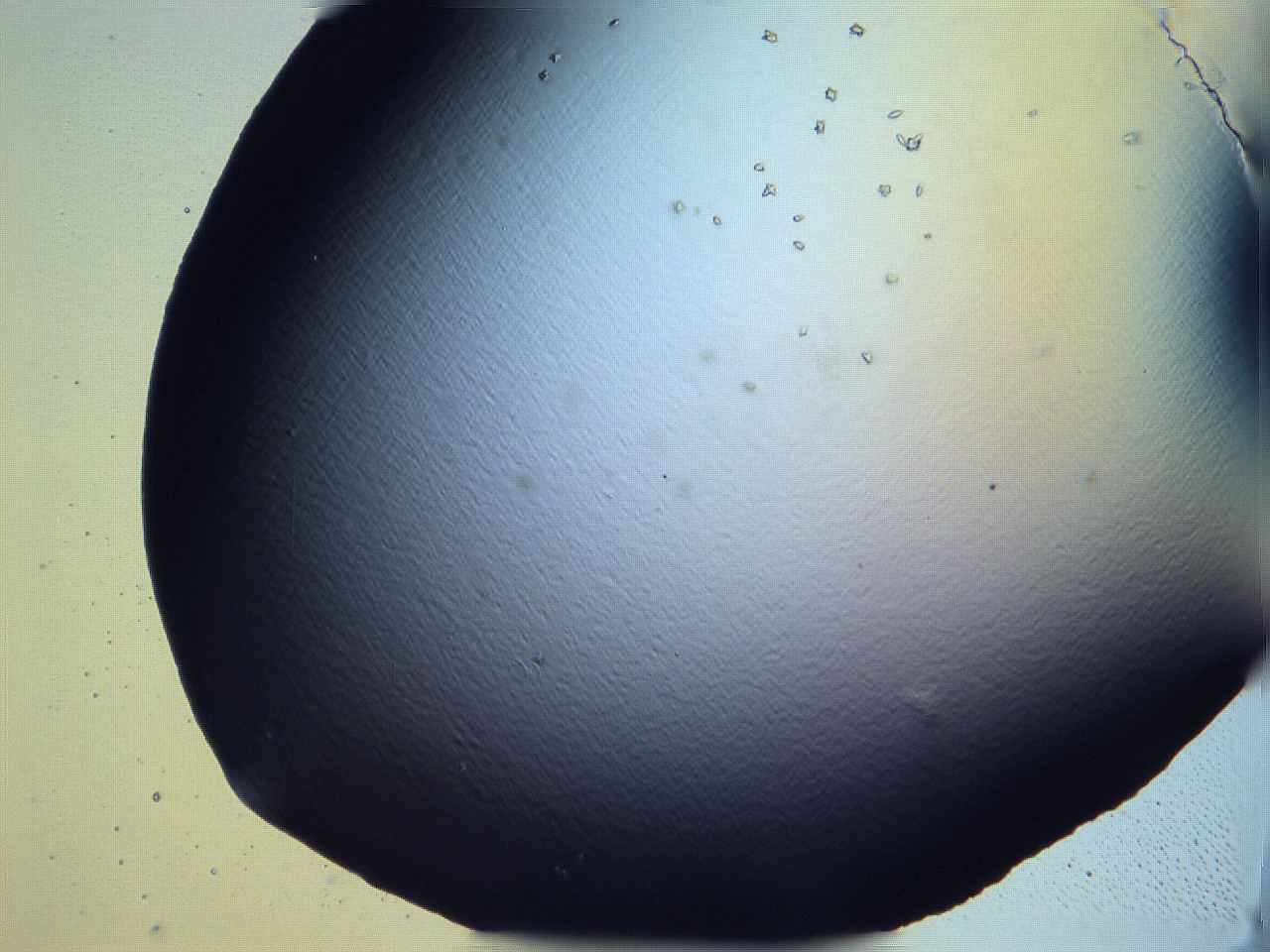 0632_E1_ImagerDefaults_9.jpg