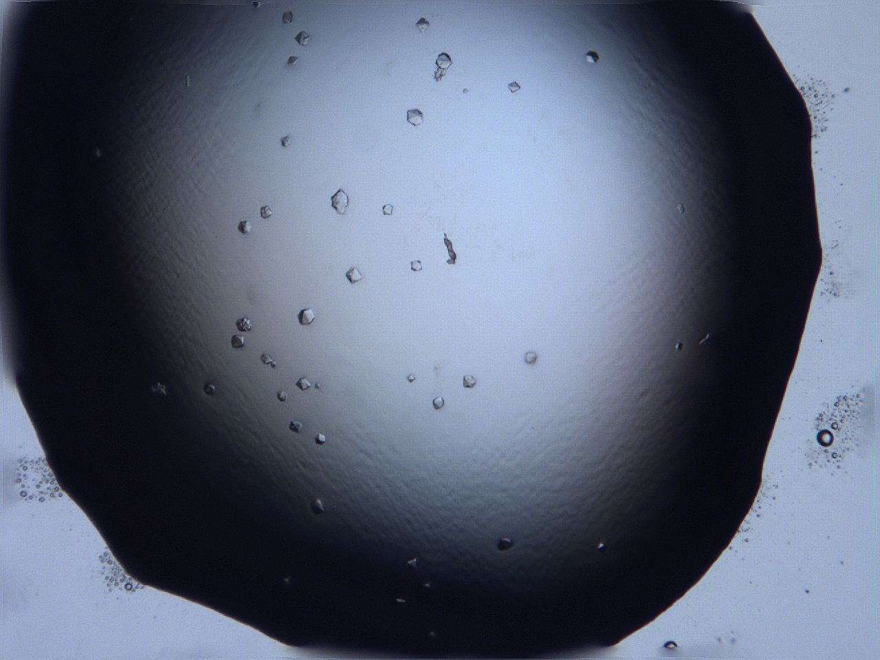 0632_E4_ImagerDefaults_9.jpg