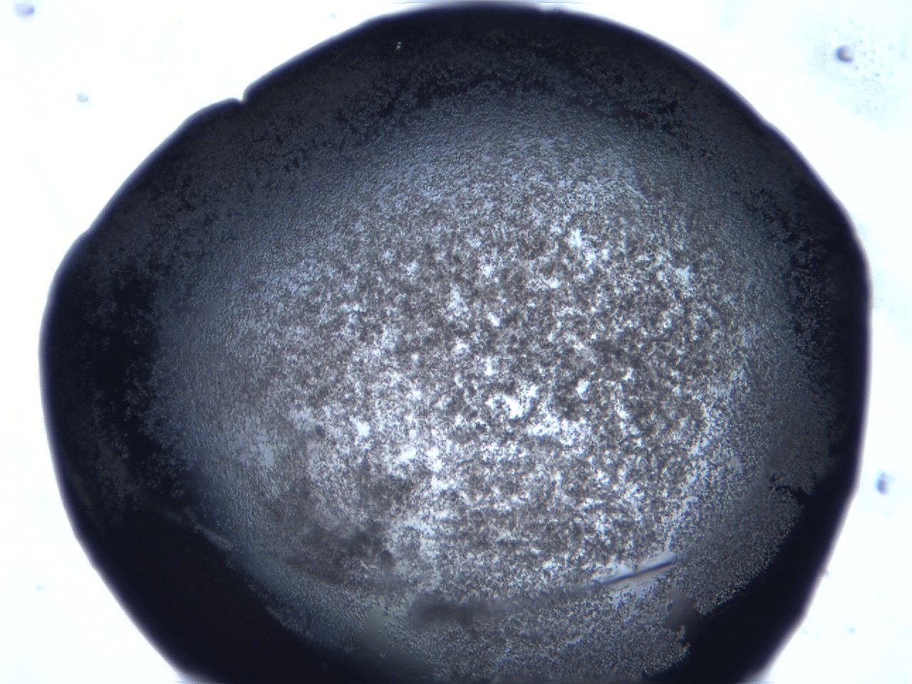 0632_E5_ImagerDefaults_3.jpg