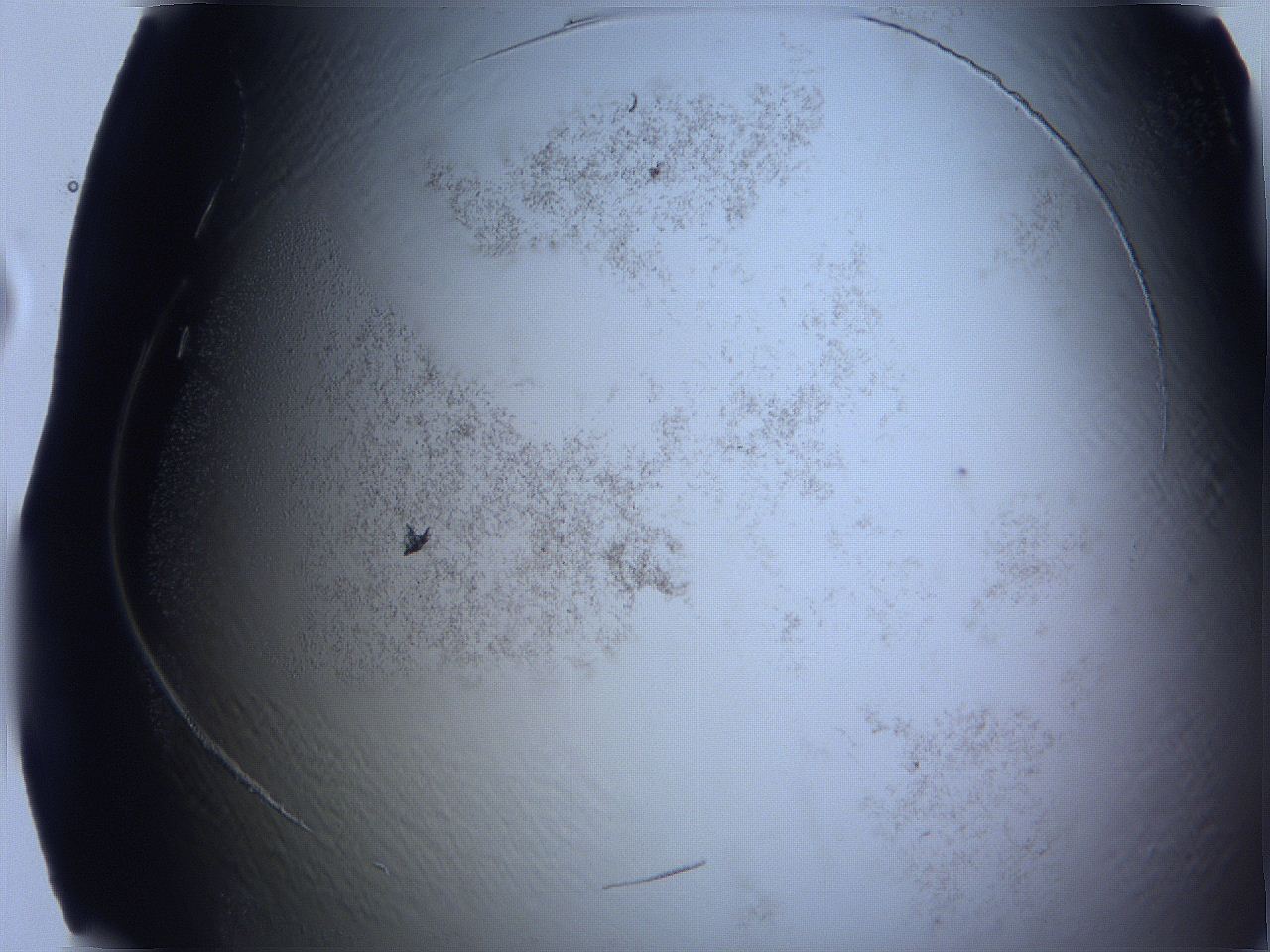 0632_F4_ImagerDefaults_3.jpg