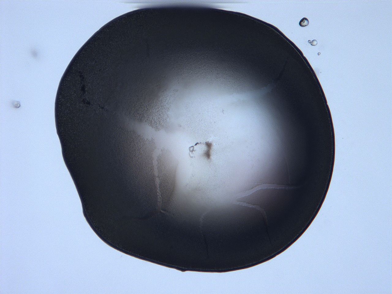 0632_F11_ImagerDefaults_3.jpg