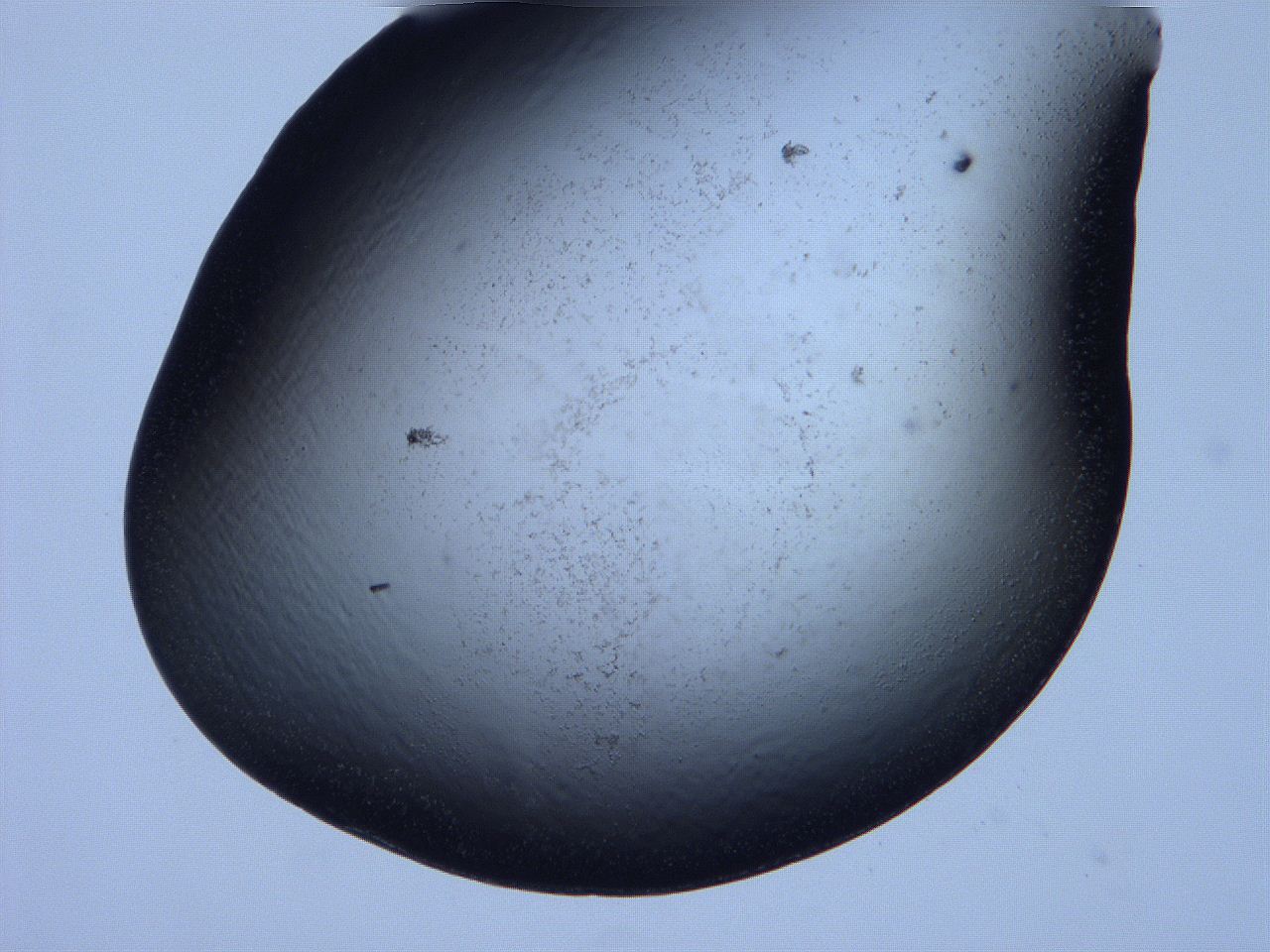 0632_G3_ImagerDefaults_0.jpg