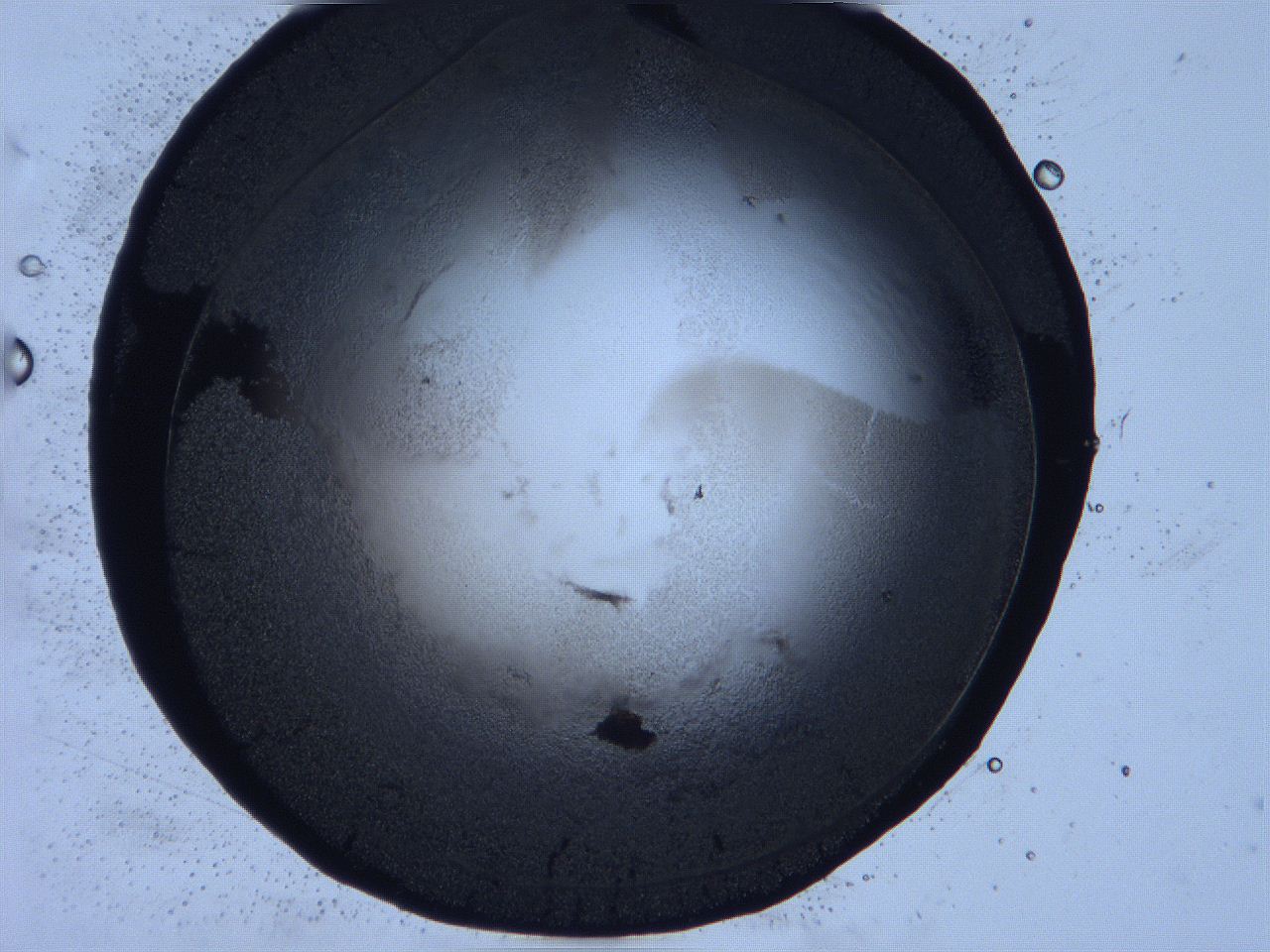 0632_G9_ImagerDefaults_3.jpg