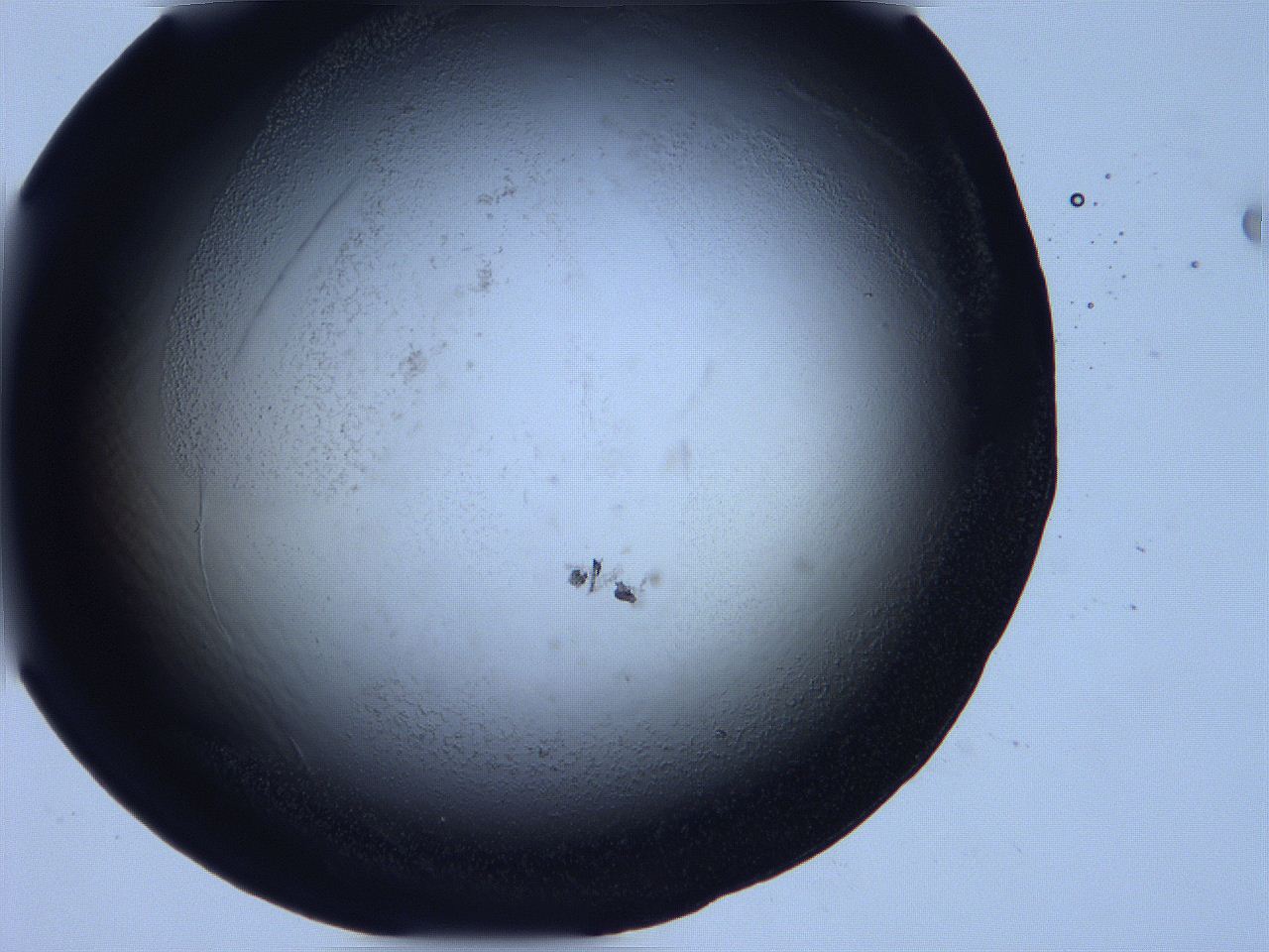 0632_G10_ImagerDefaults_0.jpg