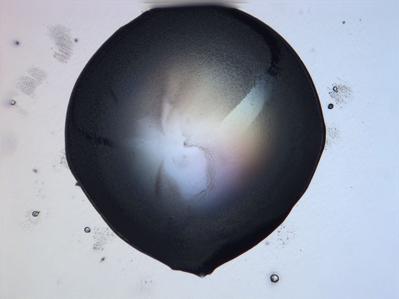 0632_H1_ImagerDefaults_3.jpg