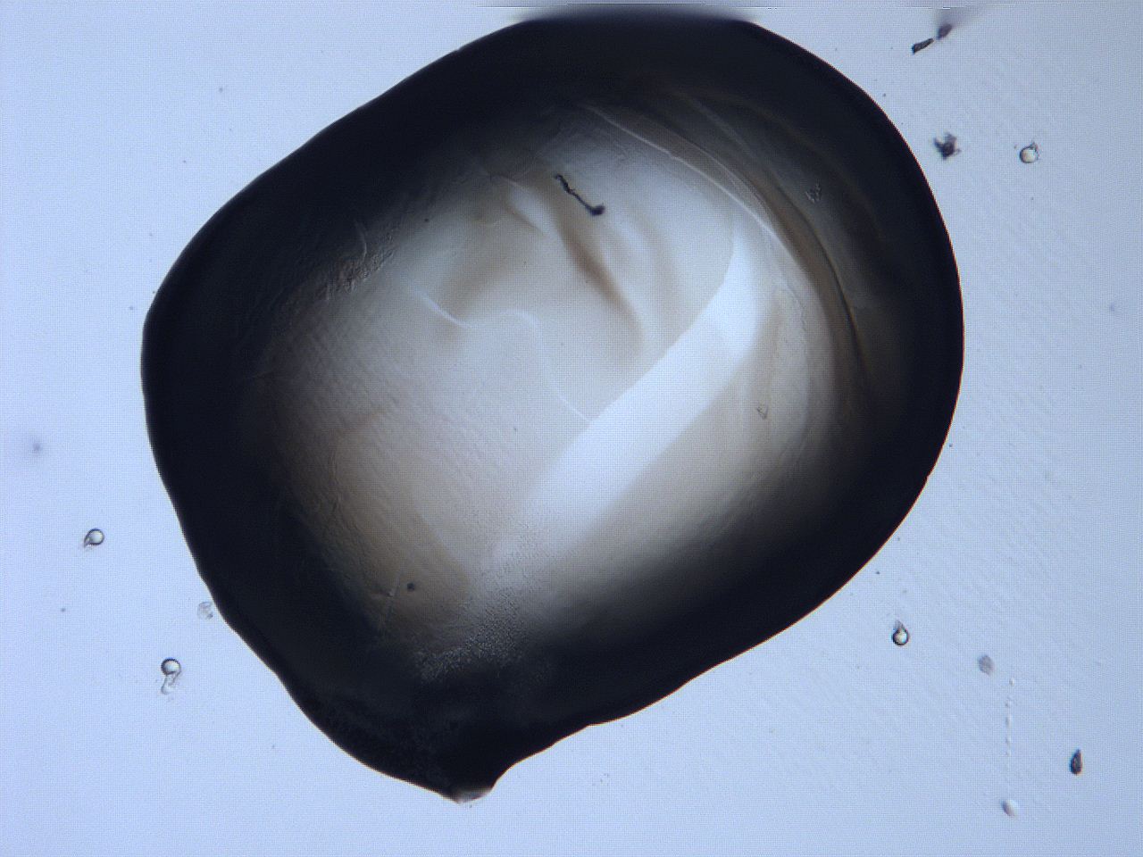 0632_H5_ImagerDefaults_3.jpg