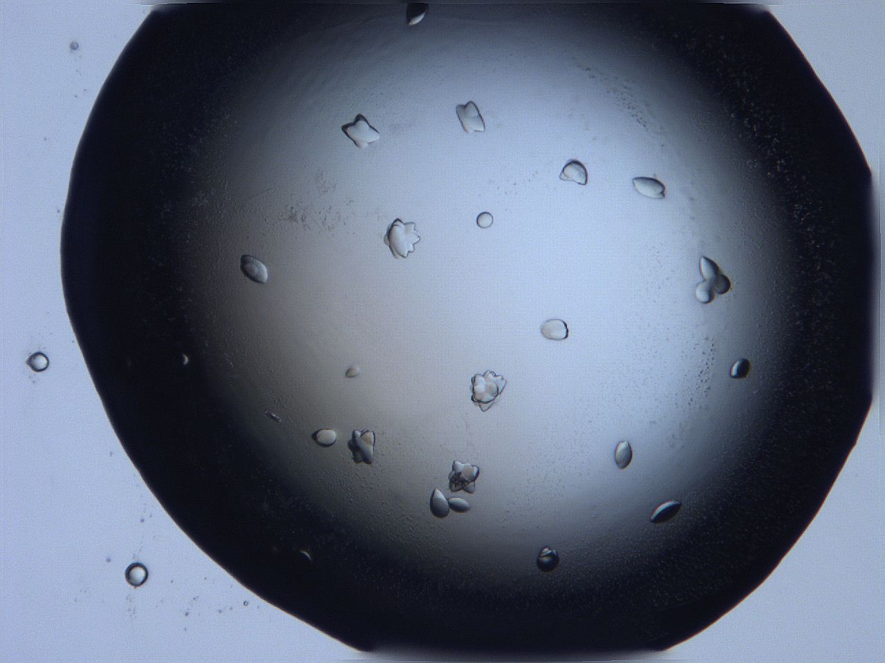 0632_H10_ImagerDefaults_9.jpg