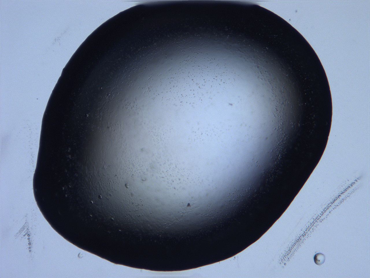 0632_H11_ImagerDefaults_0.jpg