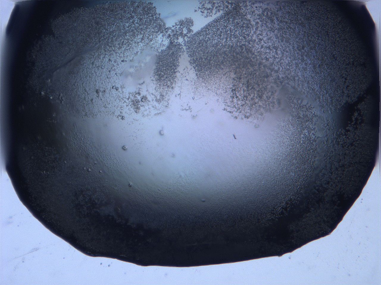 0632_H12_ImagerDefaults_3.jpg