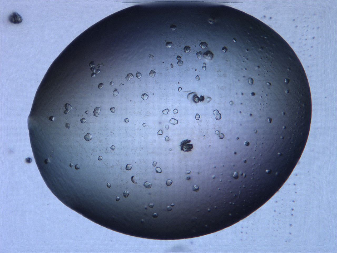 0633_A12_ImagerDefaults_9.jpg