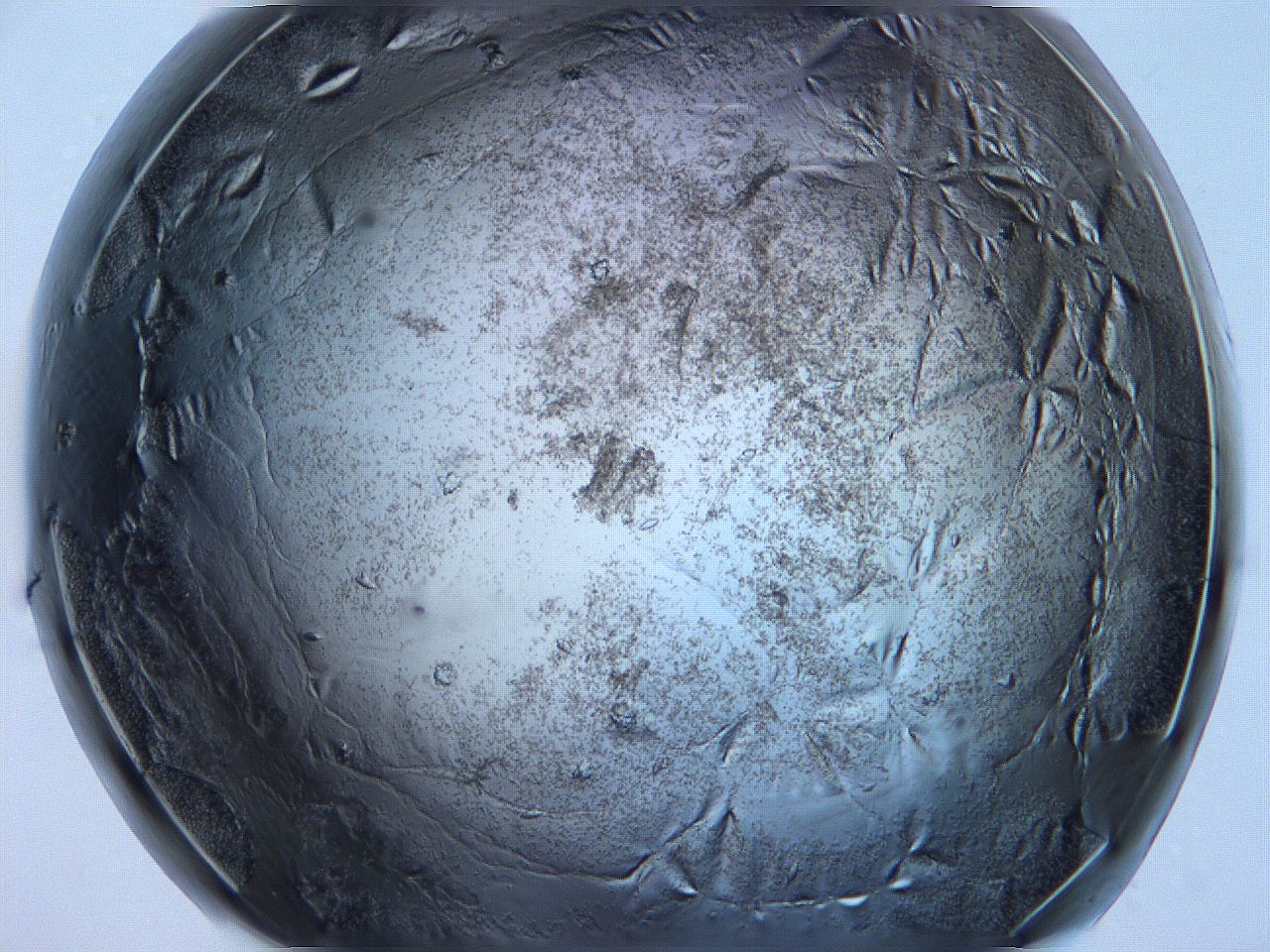 0633_C8_ImagerDefaults_9.jpg
