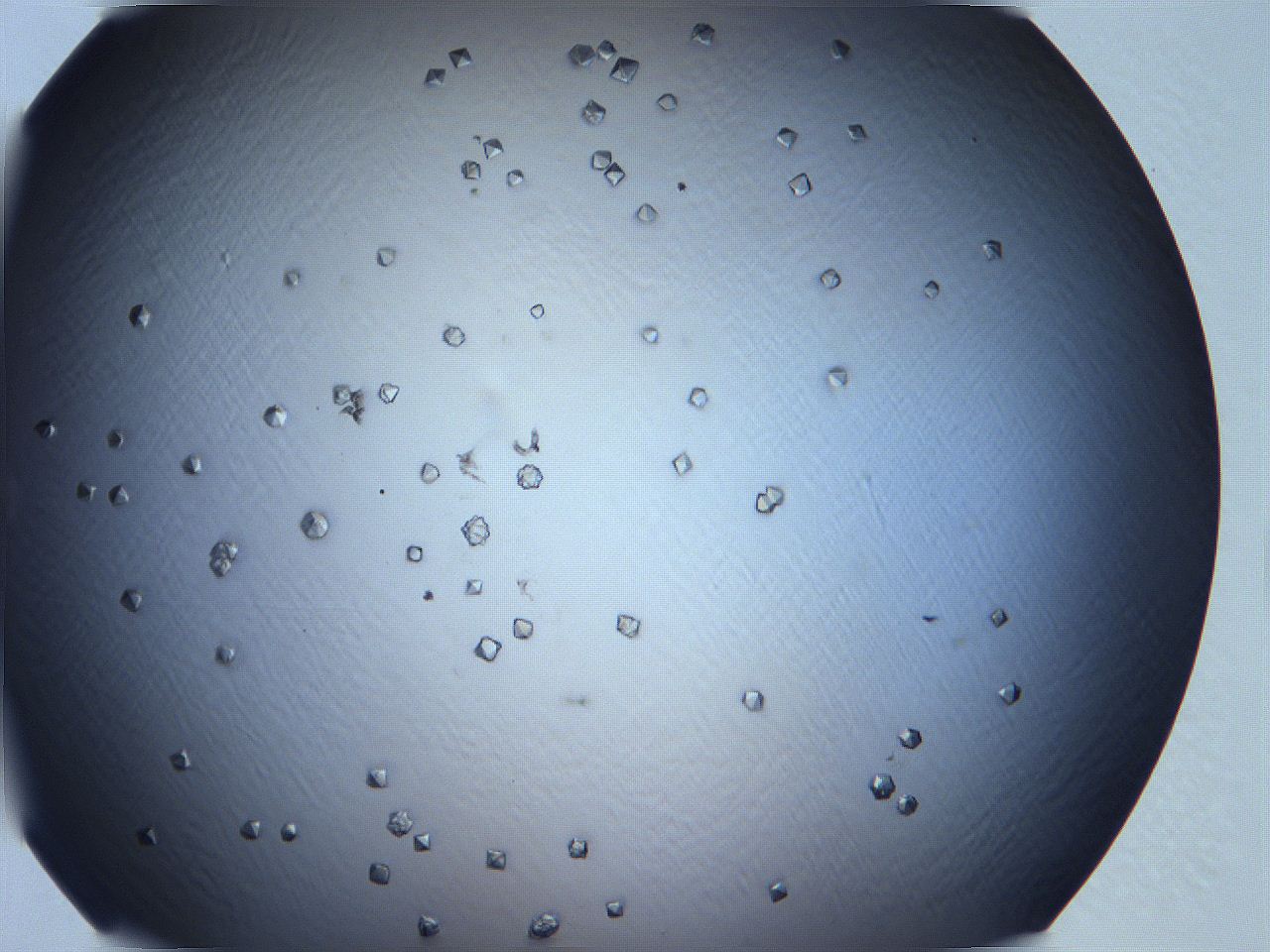 0633_C6_ImagerDefaults_9.jpg