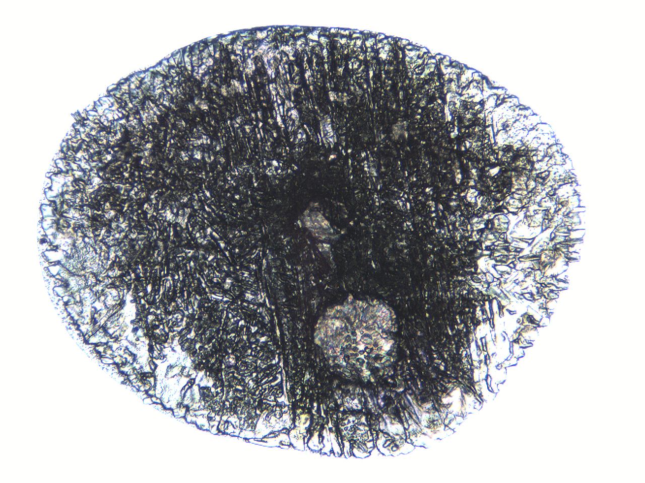 0634_A3_ImagerDefaults_3.jpg