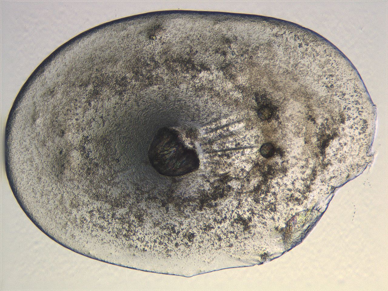 0634_A2_ImagerDefaults_3.jpg