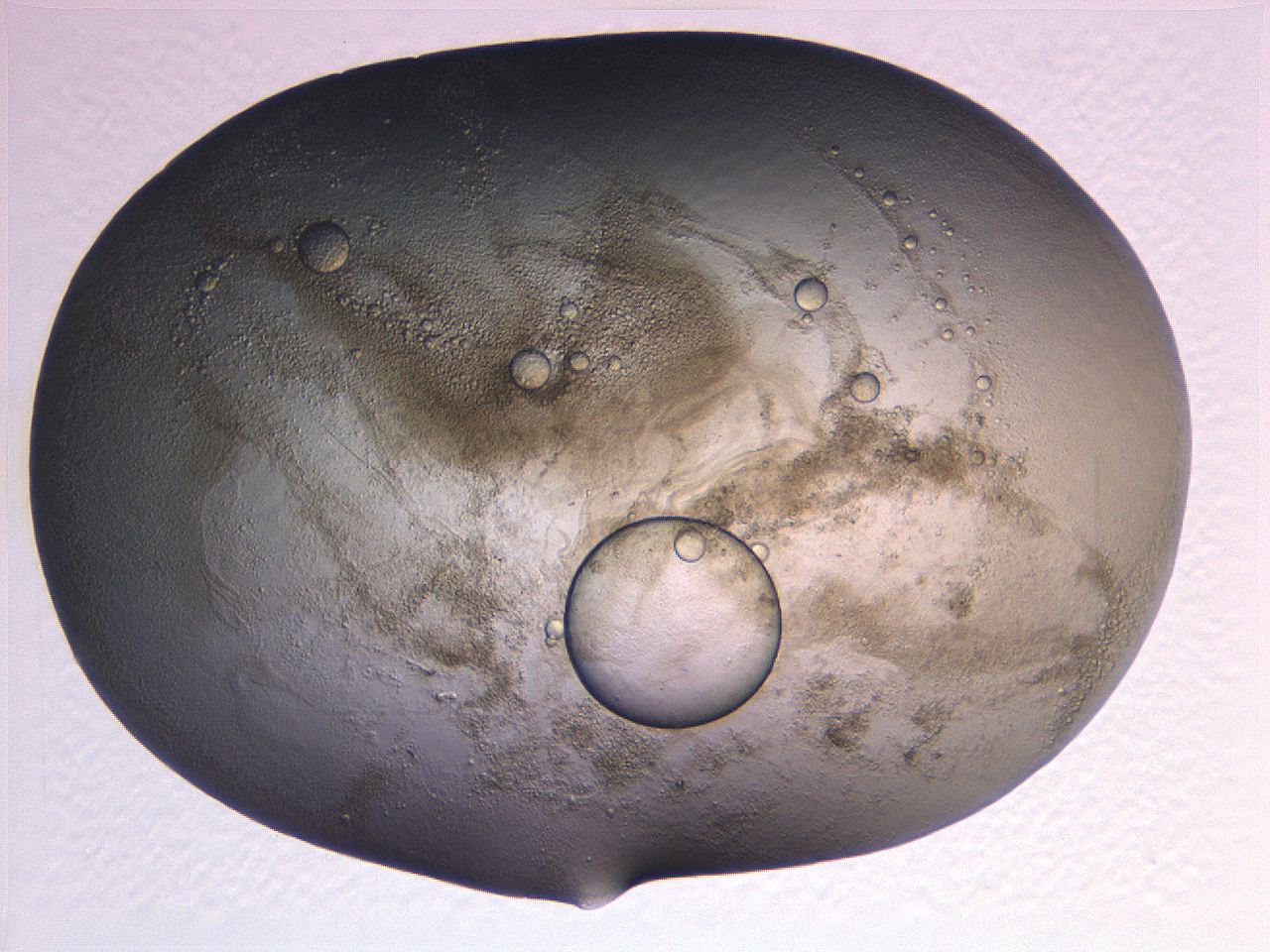0634_A1_ImagerDefaults_3.jpg