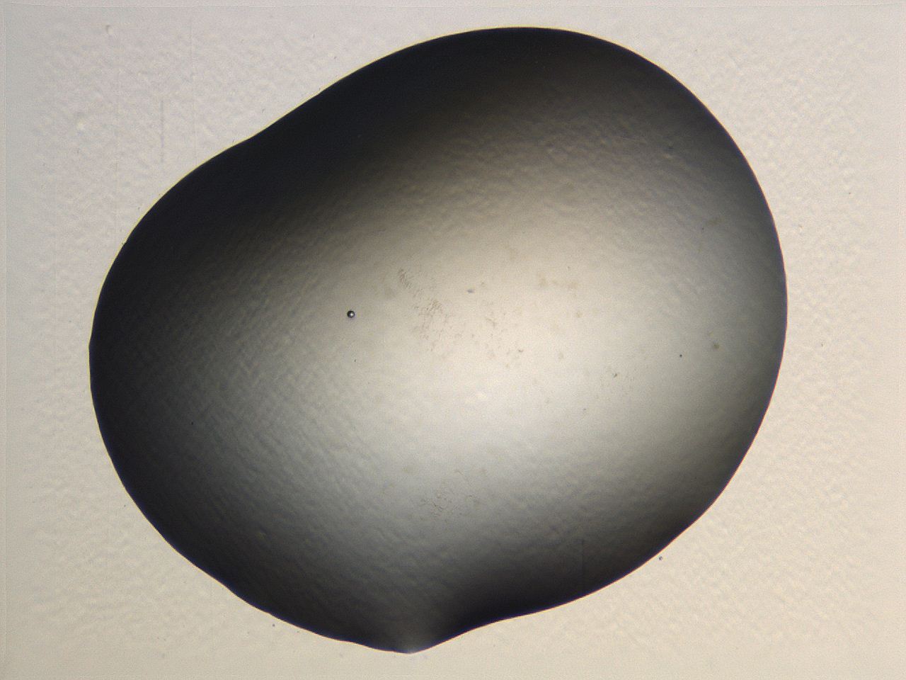 0634_B1_ImagerDefaults_0.jpg