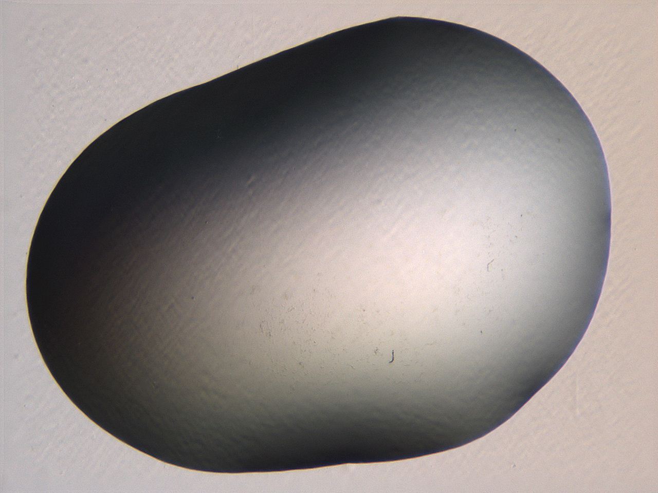 0634_B2_ImagerDefaults_0.jpg