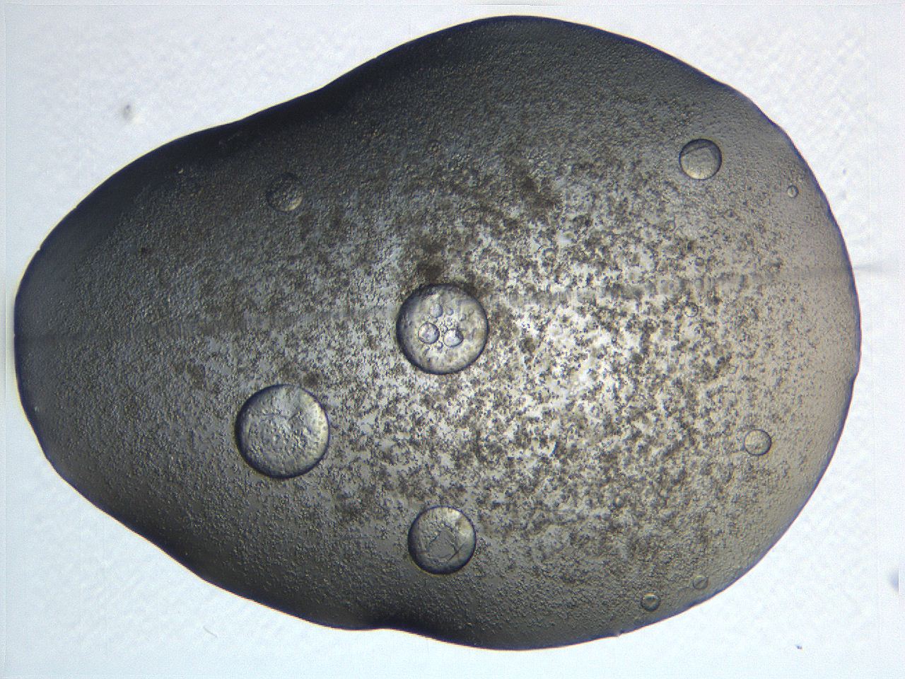 0634_C3_ImagerDefaults_3.jpg