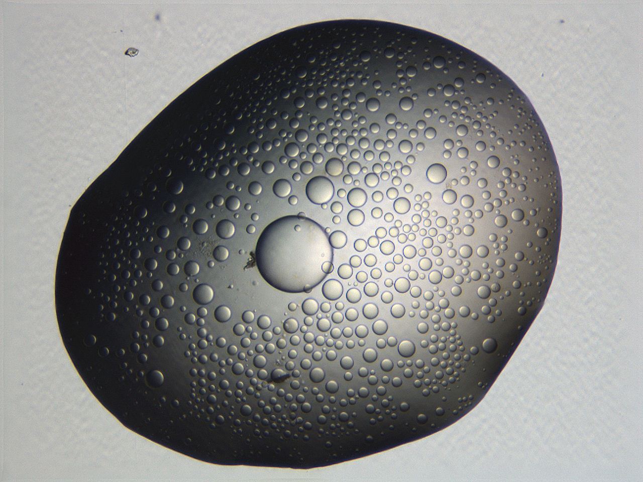 0634_C9_ImagerDefaults_2.jpg