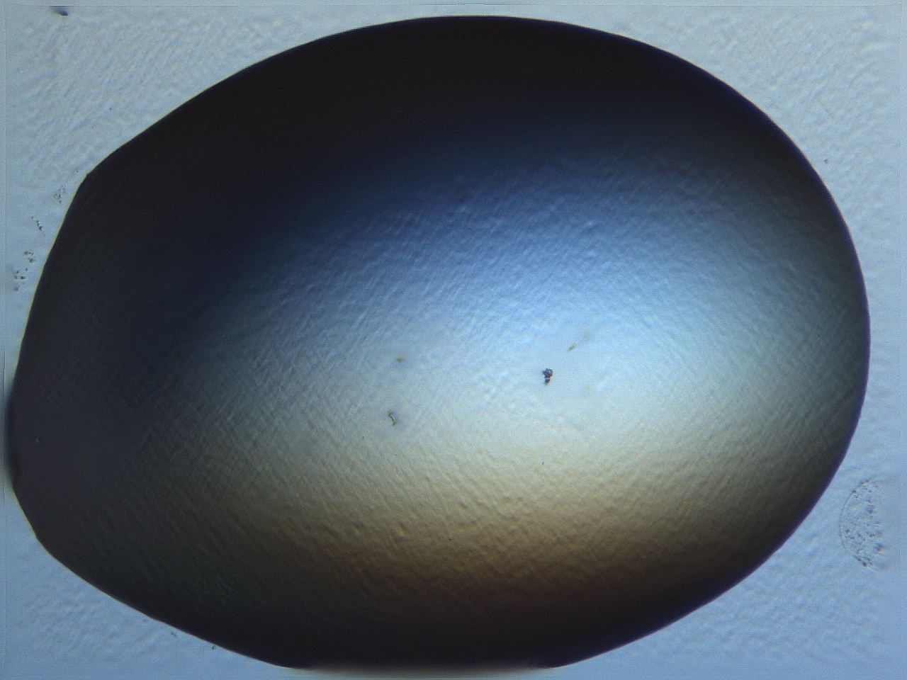0634_C12_ImagerDefaults_0.jpg