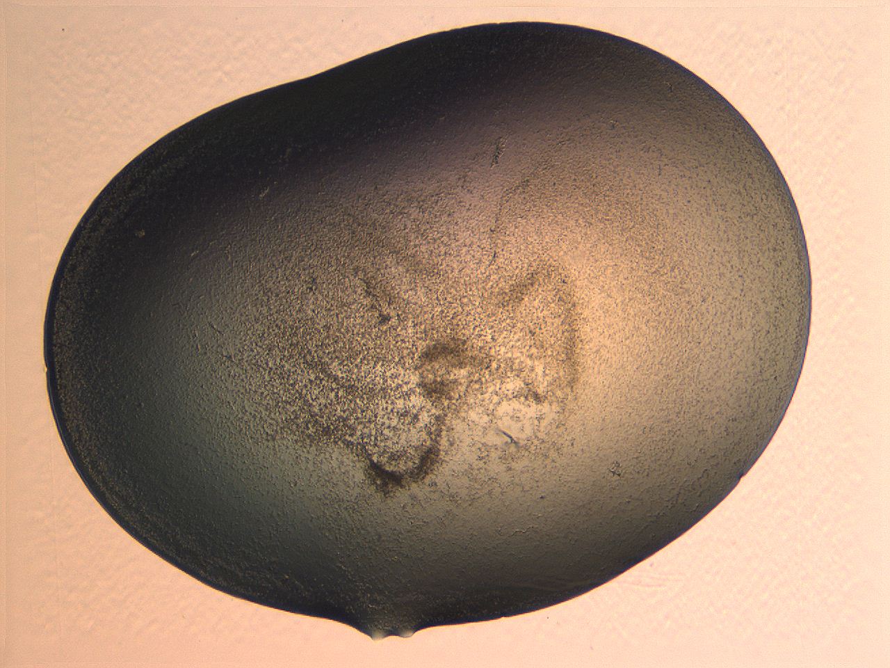 0634_D1_ImagerDefaults_3.jpg