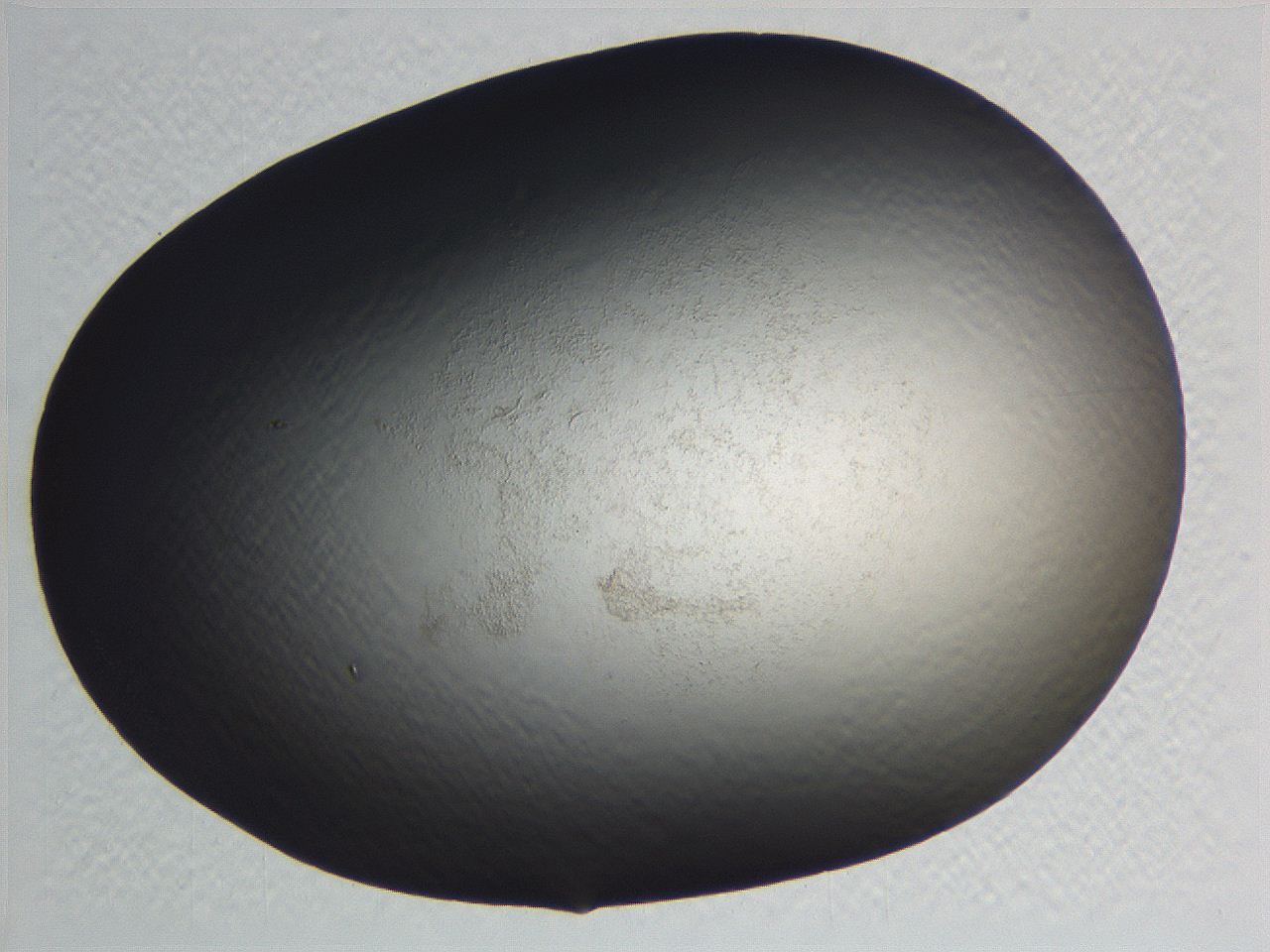 0634_D3_ImagerDefaults_0.jpg
