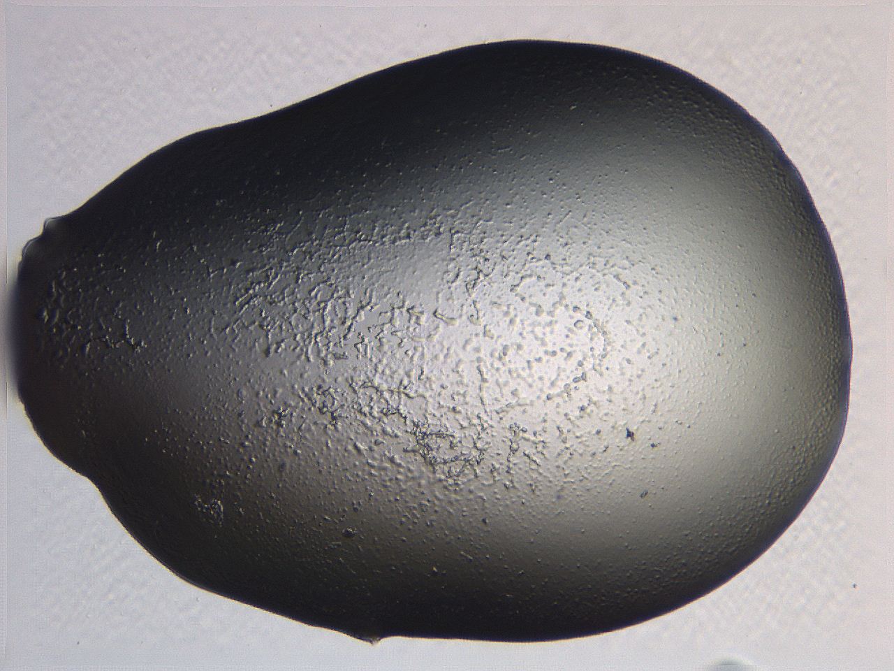 0634_D6_ImagerDefaults_3.jpg