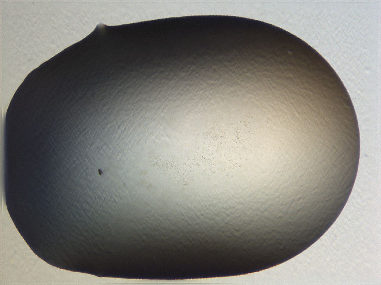 0634_B12_ImagerDefaults_0.jpg