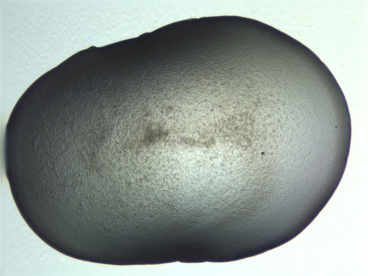 0634_B11_ImagerDefaults_3.jpg