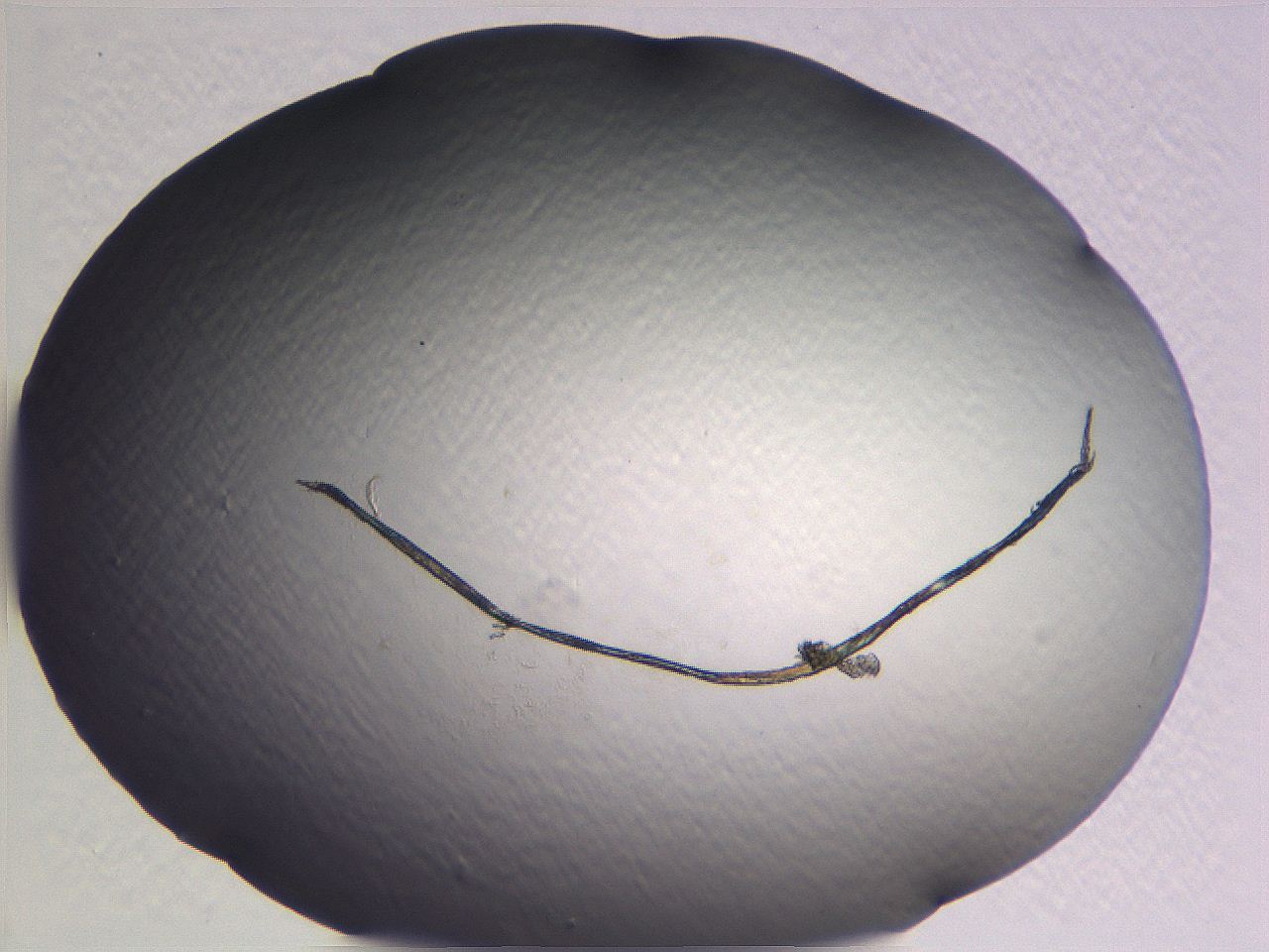 0634_B10_ImagerDefaults_0.jpg