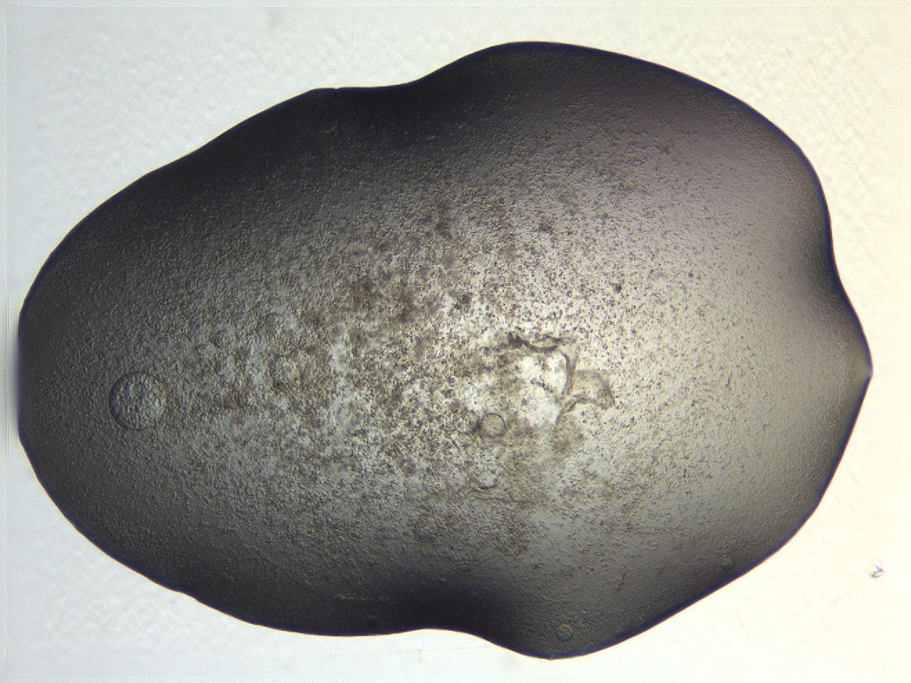0634_B9_ImagerDefaults_3.jpg