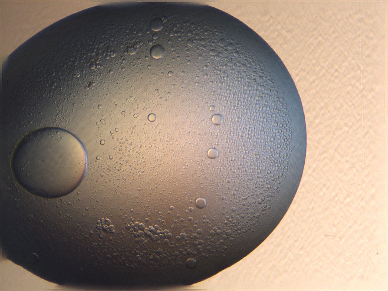 0634_B6_ImagerDefaults_2.jpg