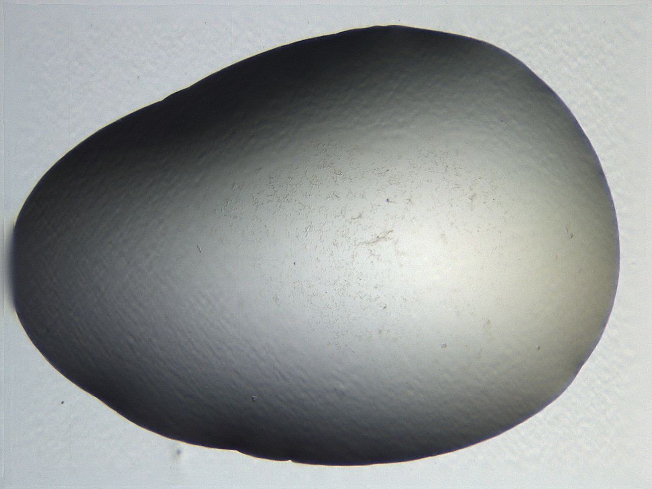 0634_B3_ImagerDefaults_0.jpg