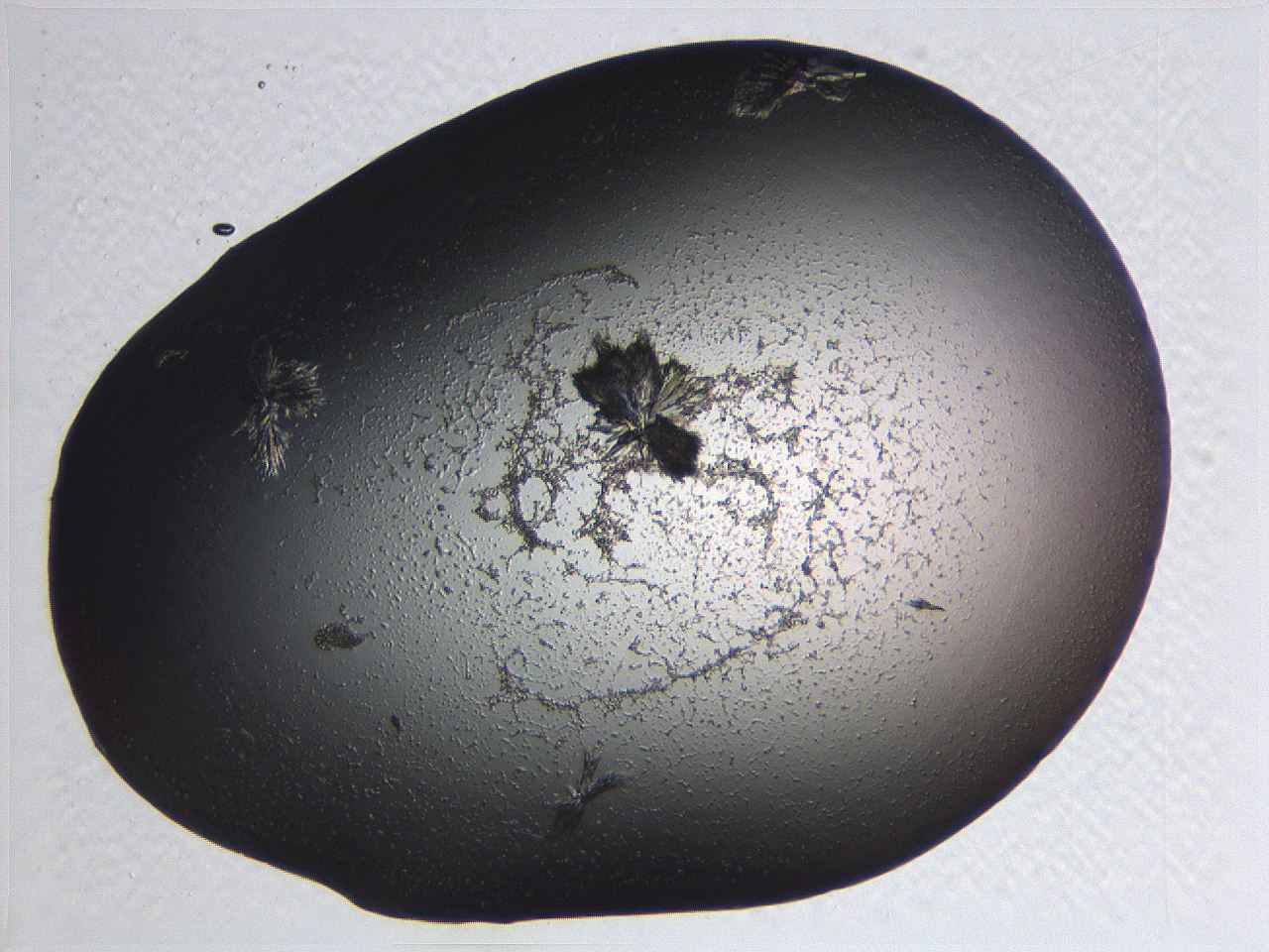 0634_D8_ImagerDefaults_3.jpg