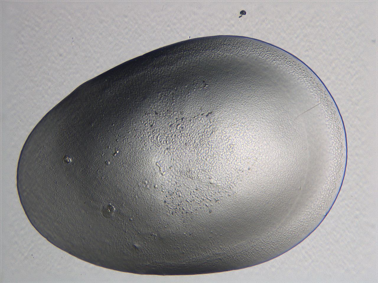 0634_D10_ImagerDefaults_3.jpg