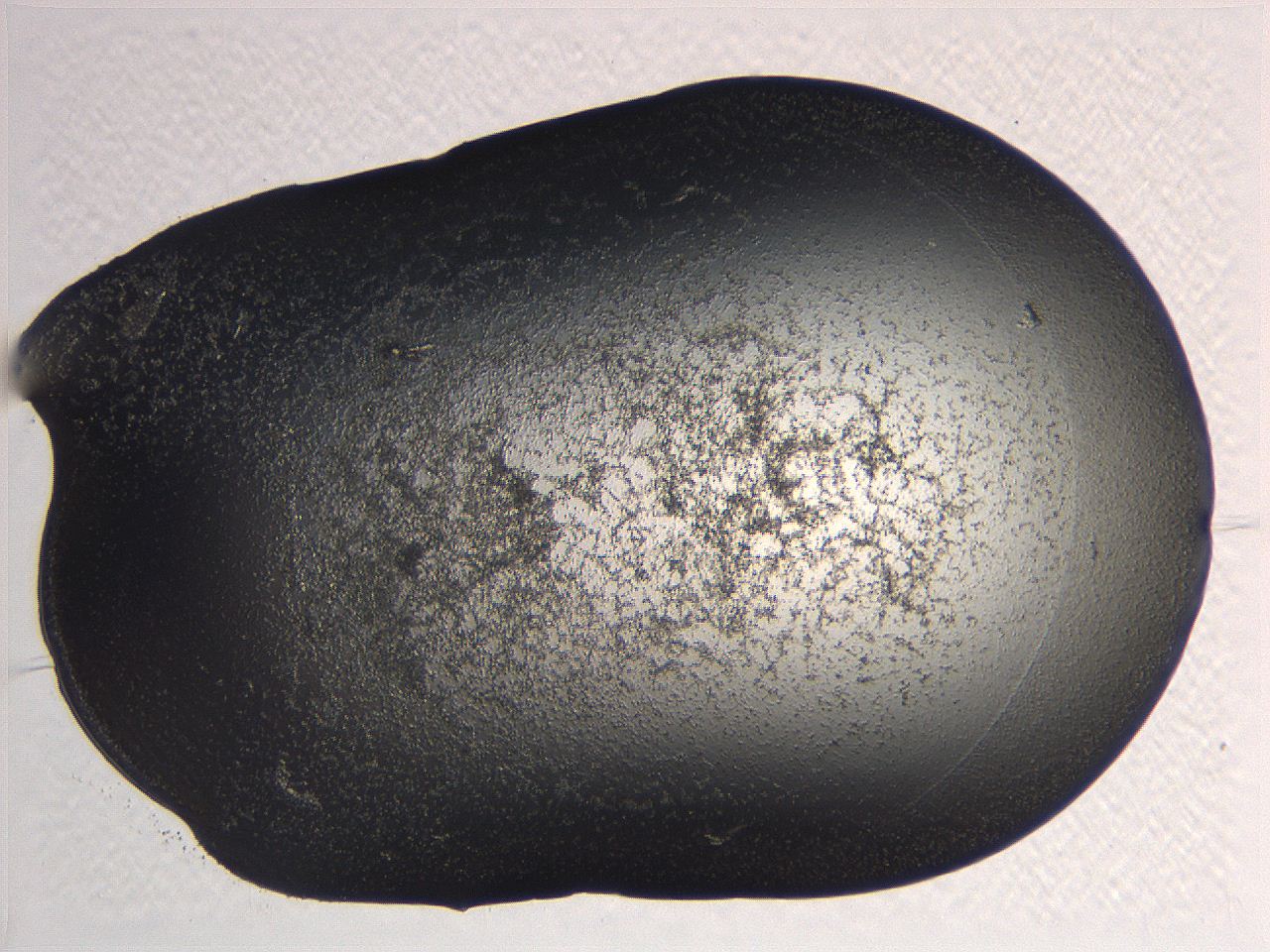 0634_D11_ImagerDefaults_3.jpg