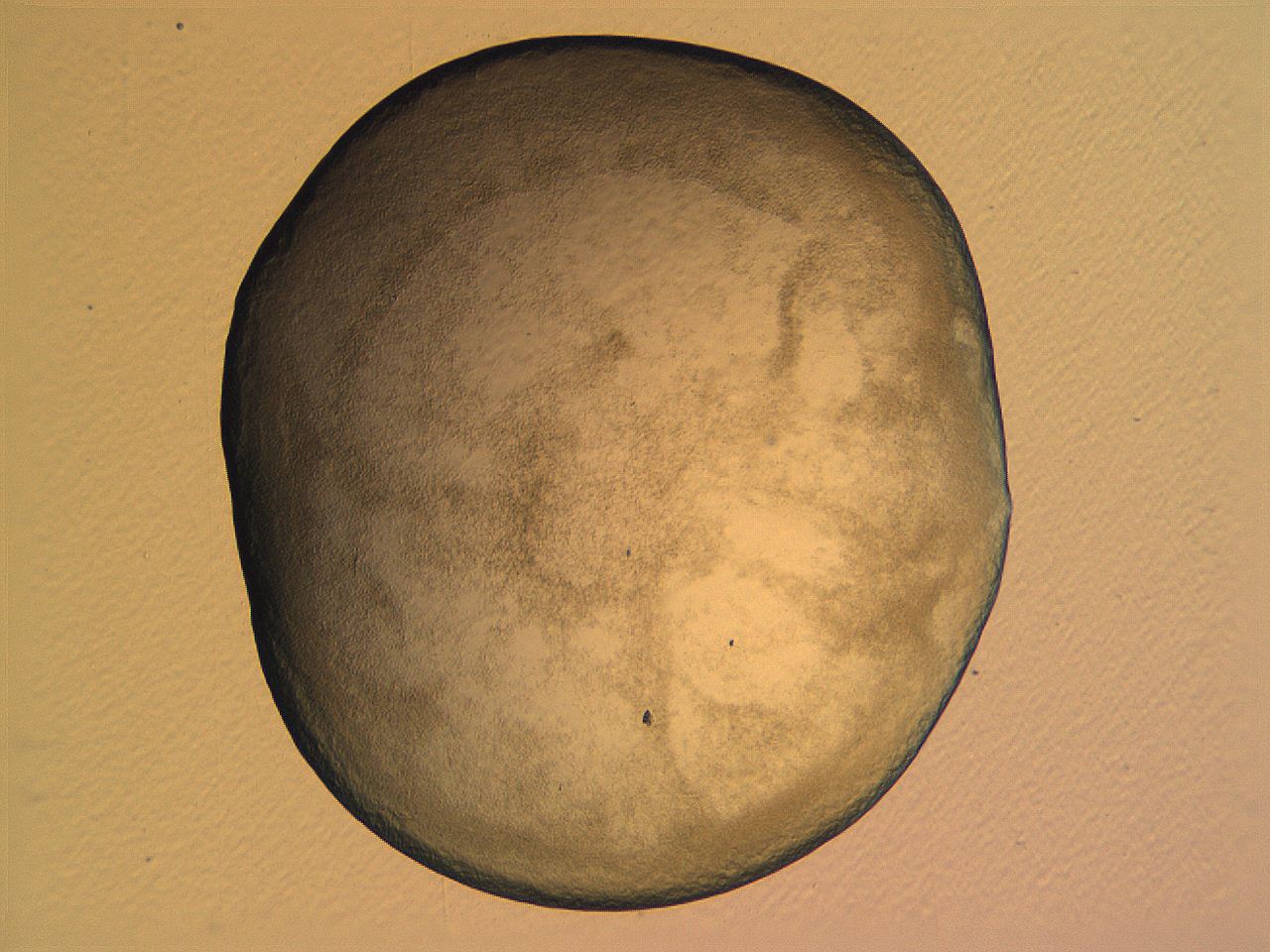 0634_E1_ImagerDefaults_3.jpg