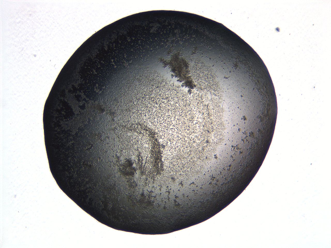 0634_E4_ImagerDefaults_3.jpg